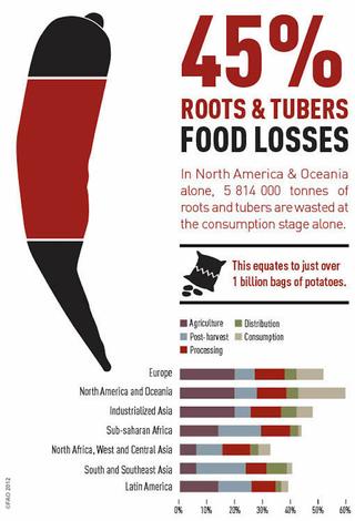 Illustration for article titled These Charts Show Which Foods Are Most Likely To Be Wasted